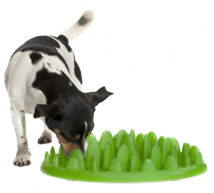 Curb Canine Gluttony With Green Interactive Feeder