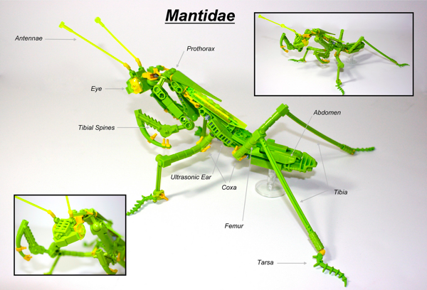 Lego Insect Evolution