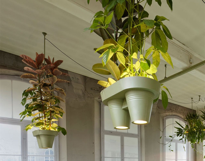 Bucket Lights Bring Instant Greenspace