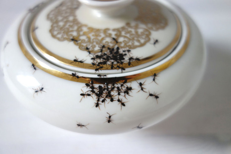 La Philie “Ant” Plates, Teapots and Cups