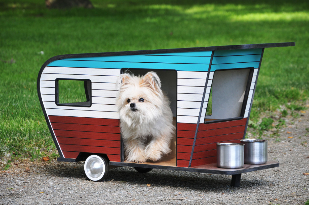 Get the Doggies Rolling… In a Dog Trailer